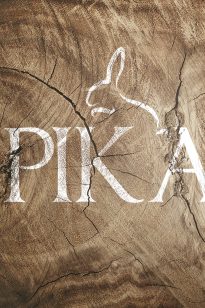 Logo – Pika – 1396