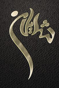 Logo – Shaylan – 1388