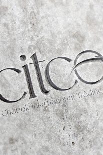 Logo – Citco – 1401